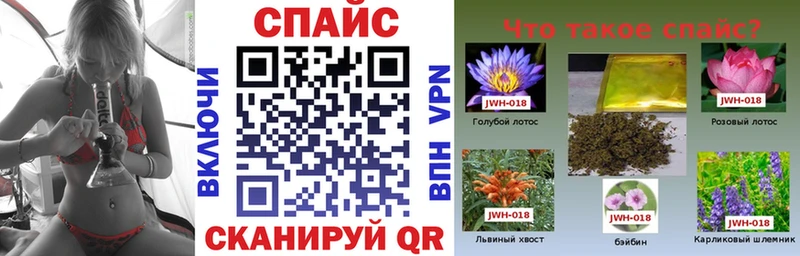 Бутират бутандиол  Купить  Дигора 