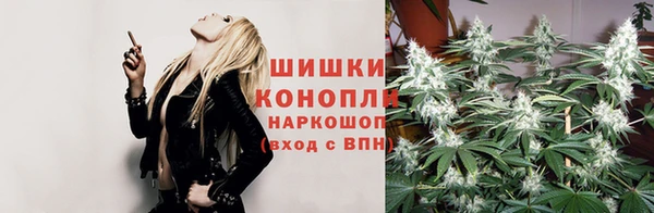 спиды Киреевск