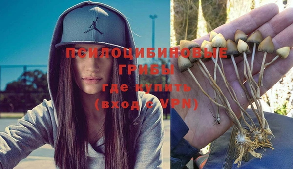 ГАЛЛЮЦИНОГЕННЫЕ ГРИБЫ Строитель
