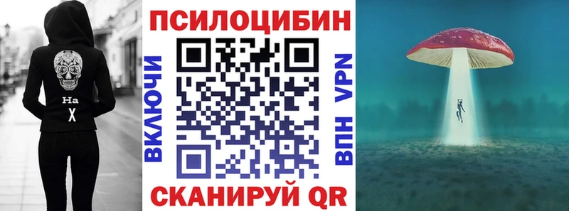 Купить закладки  Дигора  Галлюциногенные грибы Cubensis 